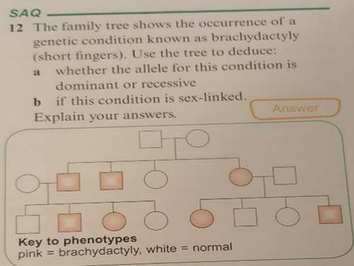 New Spec A Level Bio Module 6 Genetics Chapter 2 Inheritance