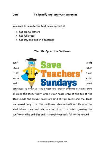 Differentiated Proofreading / Sentence Construction Activity / Worksheet and Lesson Plan
