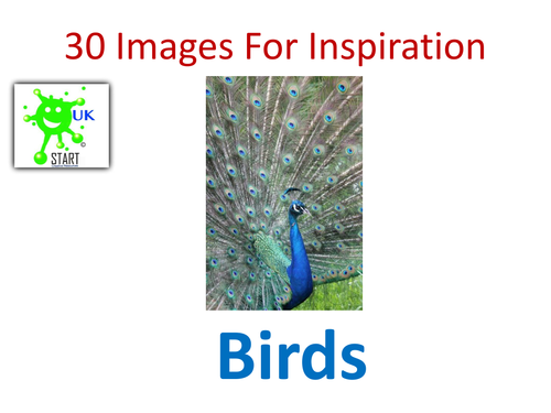 STEAM resource. Images of Birds for Inspiration