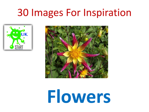 Visuals. 30 Images of Flowers for Inspiration