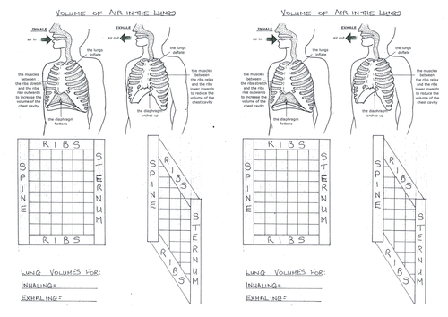 Inhalation and Exhalation