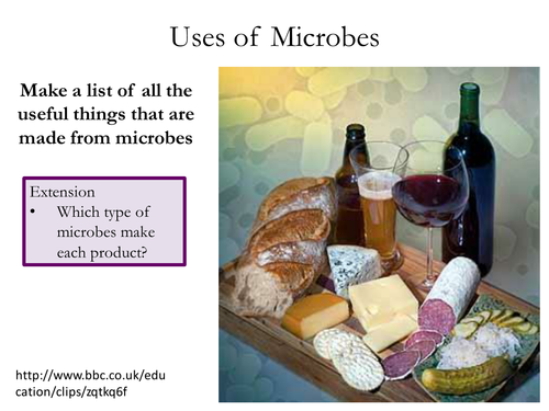 Uses of Microbes