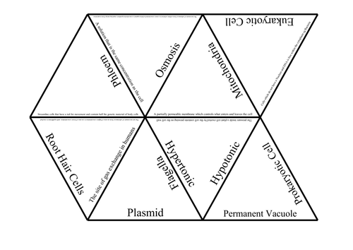 B1 Cells Revision Game