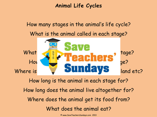 Year 2 Explanation Texts Planning and Resources (Life 