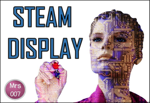 STEAM Display