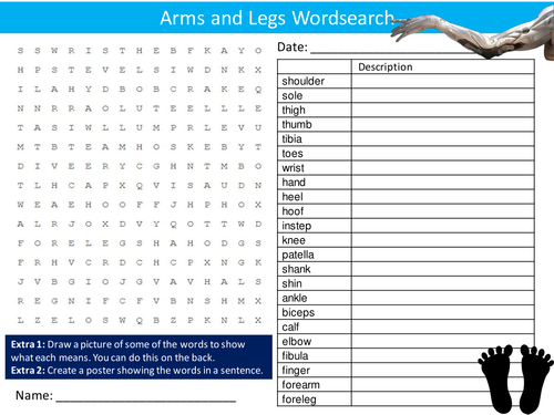 Arms and Legs  Wordsearch Starter Activity Body Parts Biology Anatomy Homework Cover Lesson Plenary