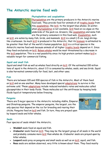 OCR B Antarctica Food Webs - Exploring Oceans