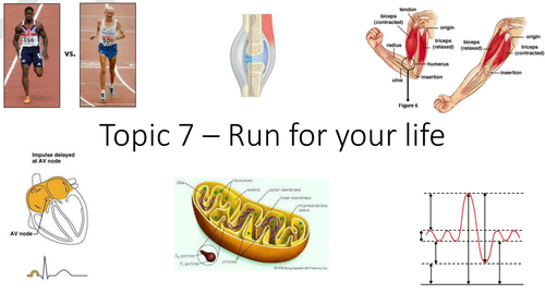 NEW spec Edexcel Salters Nuffield A level - Topic 7 Run for your life