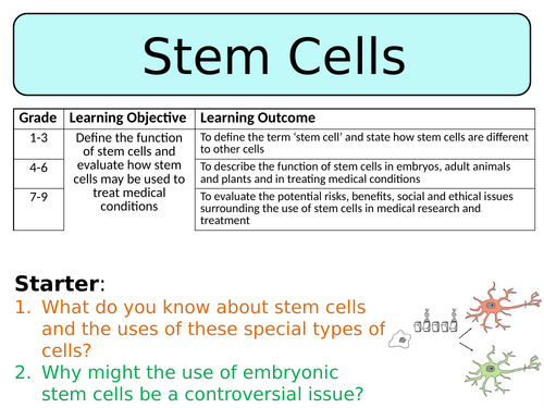 NEW AQA Trilogy GCSE (2016) Biology - Stem Cells