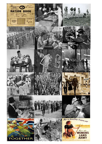 Life on the Home Front SNAP cards