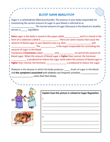 IGCSE  GCSE Regulation of Sugar in the Blood -  Homeostasis