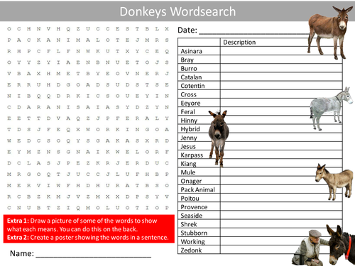 Donkeys Wordsearch Animals Literacy Starter Activity Homework Cover Lesson Plenary