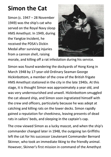 Simon the Cat  - The Dickin Medal Handout
