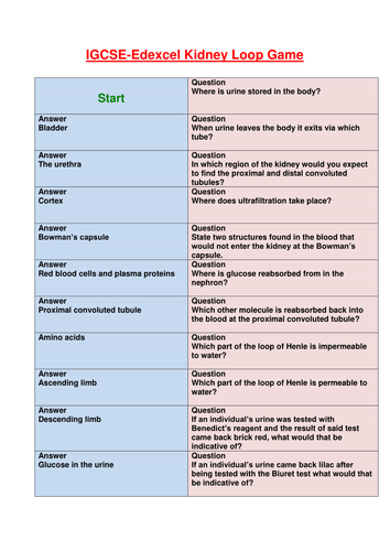 IGCSE Edexcel Kidney Resource Bundle