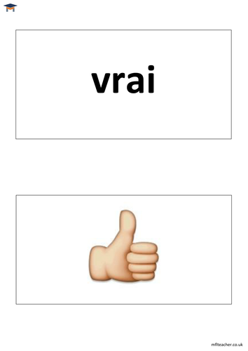 French - 'Vrai/faux' and thumbs up/down cards
