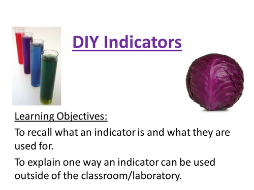 red cabbage indicator - observed lesson (outstanding)