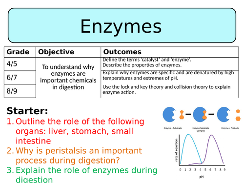 NEW AQA Trilogy GCSE (2016) - Enzymes