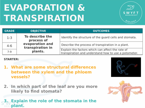 NEW AQA Trilogy GCSE (2016) Biology - Evaporation & Transpiration