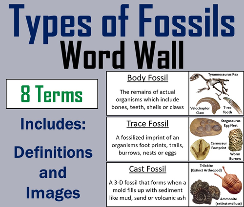 Types of Fossils Word Wall Cards