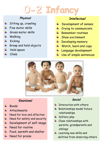 Level 2 Tech Award H&SC Human Lifespan Development Display
