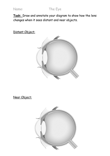 The Eye Biology Only New Aqa Biology Gcse Teaching Resources