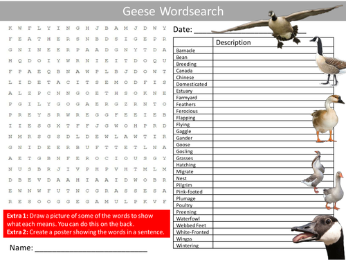 Geese Wordsearch Animals Nature Literacy Starter Activity Homework Cover Lesson Plenary