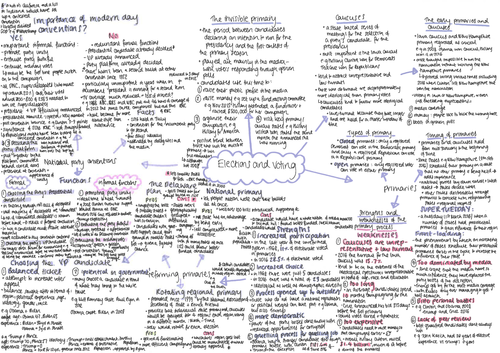 Elections and Voting Mindmaps