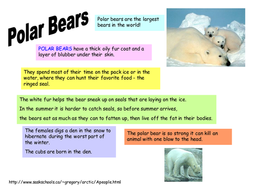 The Arctic Resources- Year 1.