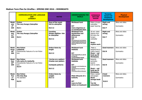 minibeast medium term plan