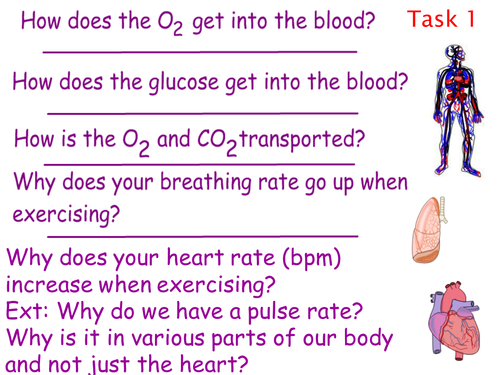 GCSE NEW SPEC - B9 - Respiration - Lesson 1 & 2: Aerobic respiration & exercise