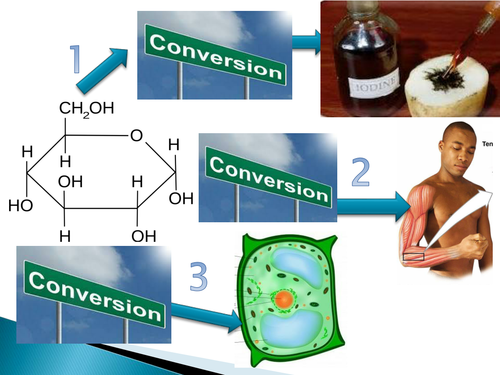 GCSE NEW SPEC - B9 - Respiration - lesson 5 - metabolism and the liver