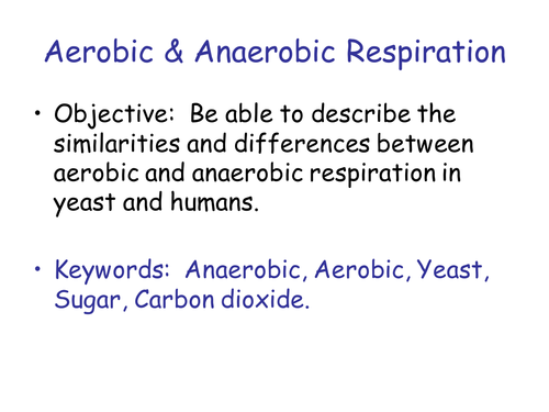 Anaerobic respiration KS3 practical and theory