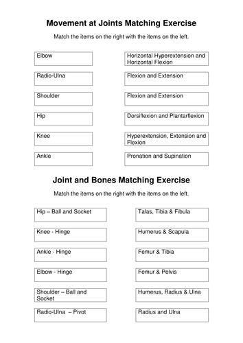 Movement at Joints Matching exercise