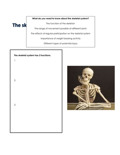 skeletal-system-workbook-teaching-resources