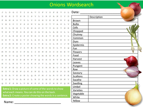 Onions Wordsearch Food Technology Literacy Starter Activity Homework Cover Lesson Plenary