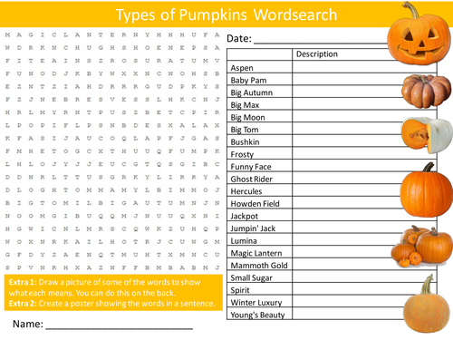 Types of Pumpkin Wordsearch Food Technology Literacy Starter Activity Homework Cover Lesson Plenary
