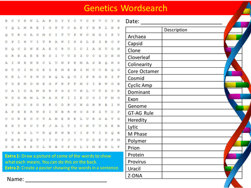 Genetics Wordsearch Biology Literacy Starter Activity Homework Cover Lesson Plenary