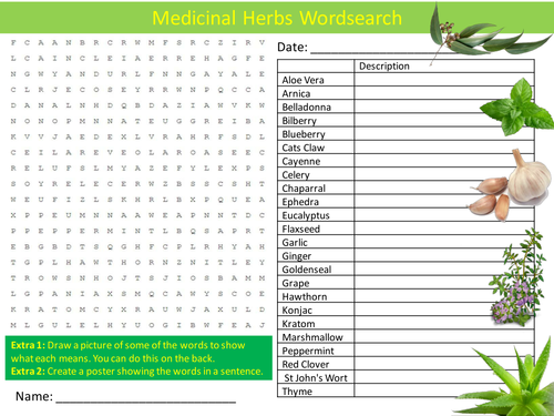 Medicinal Herbs Wordsearch Food Technology Literacy Starter Activity Homework Cover Lesson Plenary