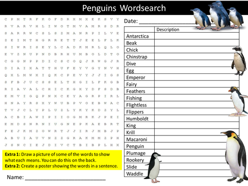 Penguins Wordsearch Animals Literacy Starter Activity Homework Cover Lesson Plenary