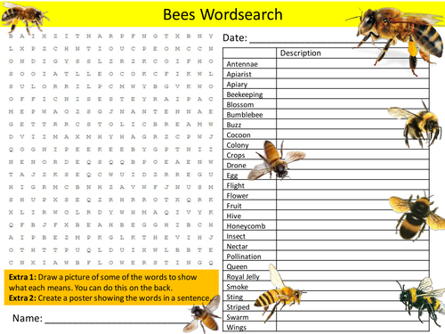 Bees Wordsearch Animals Insects Literacy Starter Activity Homework Cover Lesson Plenary