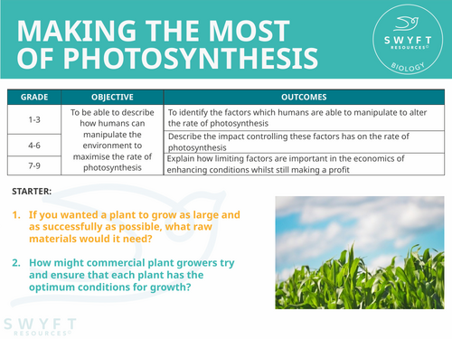 NEW AQA Trilogy GCSE (2016) Biology - Making the most of photosynthesis