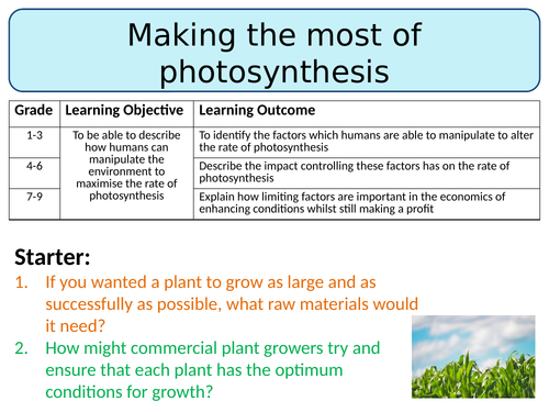 NEW AQA Trilogy GCSE (2016) Biology - Making the most of photosynthesis