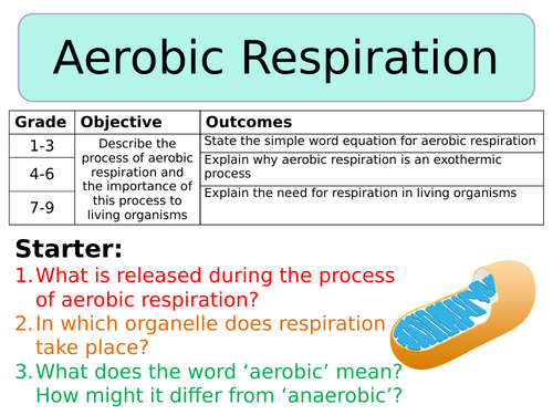 NEW AQA Trilogy GCSE (2016) Biology - Aerobic Respiration by ...