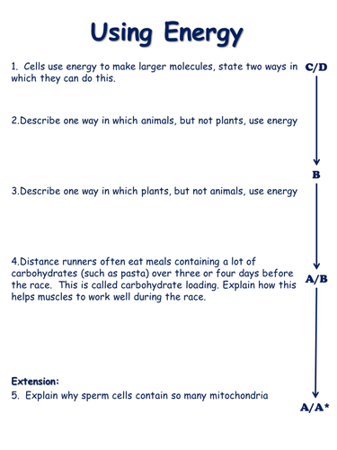 NEW AQA Trilogy GCSE (2016) Biology - Aerobic Respiration