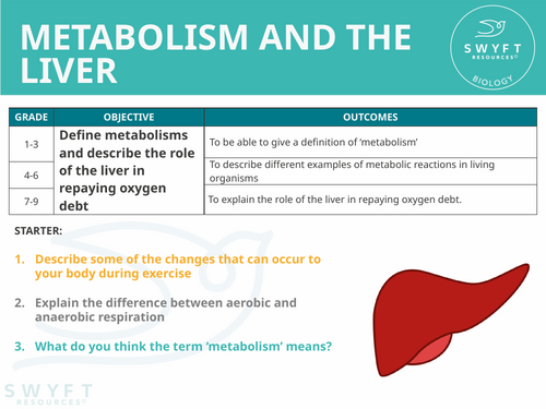 NEW AQA Trilogy GCSE (2016) Biology - Metabolism and the liver
