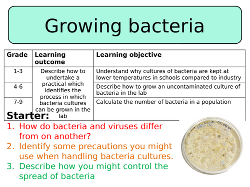 NEW AQA Trilogy GCSE (2016) Biology - Growing Bacteria HT