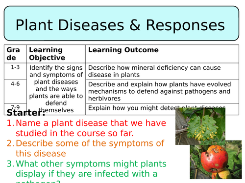 NEW AQA Trilogy GCSE (2016) Biology - Plant diseases & responses HT