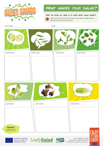 Worksheet 1 - What makes your salad | Teaching Resources