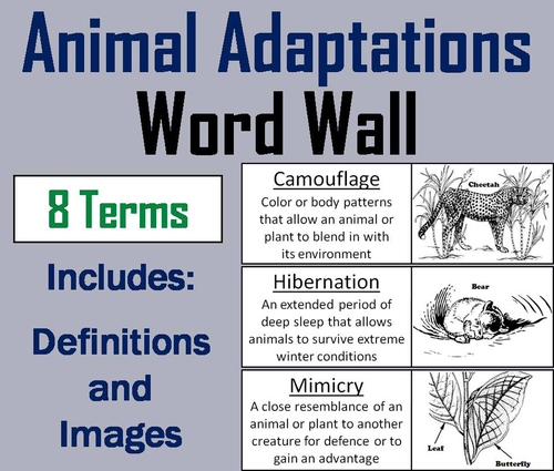 Animal Adaptations Word Wall Cards
