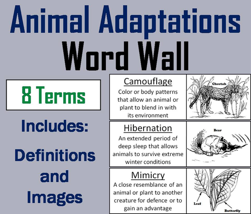 Animals Wordwall.